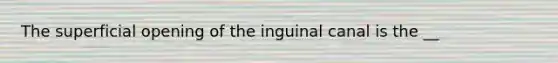 The superficial opening of the inguinal canal is the __