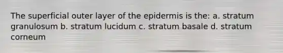 The superficial outer layer of <a href='https://www.questionai.com/knowledge/kBFgQMpq6s-the-epidermis' class='anchor-knowledge'>the epidermis</a> is the: a. stratum granulosum b. stratum lucidum c. stratum basale d. stratum corneum