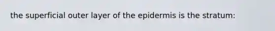 the superficial outer layer of the epidermis is the stratum: