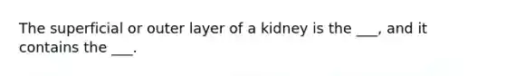 The superficial or outer layer of a kidney is the ___, and it contains the ___.