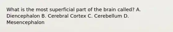 What is the most superficial part of the brain called? A. Diencephalon B. Cerebral Cortex C. Cerebellum D. Mesencephalon