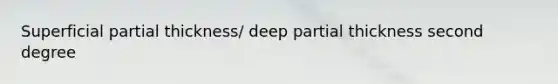Superficial partial thickness/ deep partial thickness second degree