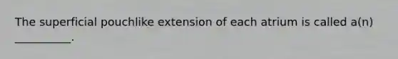 The superficial pouchlike extension of each atrium is called a(n) __________.