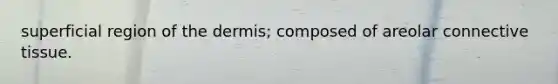 superficial region of the dermis; composed of areolar connective tissue.