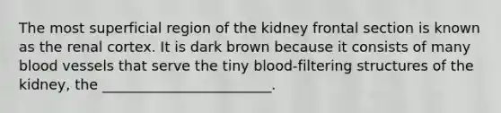 The most superficial region of the kidney frontal section is known as the renal cortex. It is dark brown because it consists of many <a href='https://www.questionai.com/knowledge/kZJ3mNKN7P-blood-vessels' class='anchor-knowledge'>blood vessels</a> that serve the tiny blood-filtering structures of the kidney, the ________________________.