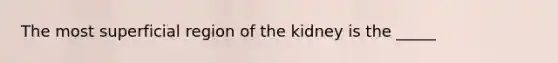 The most superficial region of the kidney is the _____