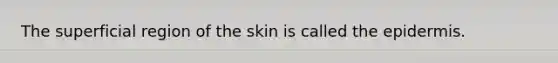 The superficial region of the skin is called the epidermis.