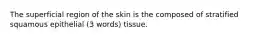 The superficial region of the skin is the composed of stratified squamous epithelial (3 words) tissue.