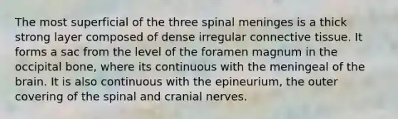 The most superficial of the three spinal meninges is a thick strong layer composed of dense irregular connective tissue. It forms a sac from the level of the foramen magnum in the occipital bone, where its continuous with the meningeal of the brain. It is also continuous with the epineurium, the outer covering of the spinal and cranial nerves.