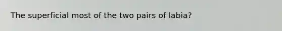 The superficial most of the two pairs of labia?