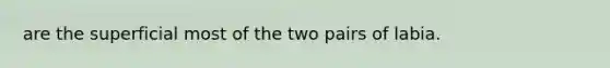 are the superficial most of the two pairs of labia.