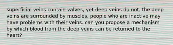 superficial veins contain valves, yet deep veins do not. the deep veins are surrounded by muscles. people who are inactive may have problems with their veins. can you propose a mechanism by which blood from the deep veins can be returned to the heart?