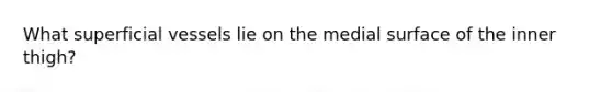What superficial vessels lie on the medial surface of the inner thigh?