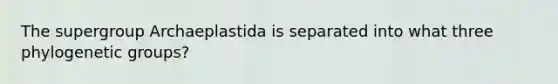 The supergroup Archaeplastida is separated into what three phylogenetic groups?