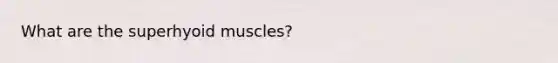 What are the superhyoid muscles?