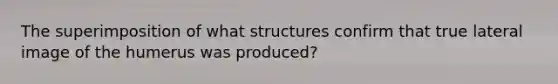 The superimposition of what structures confirm that true lateral image of the humerus was produced?