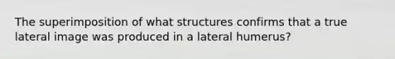 The superimposition of what structures confirms that a true lateral image was produced in a lateral humerus?