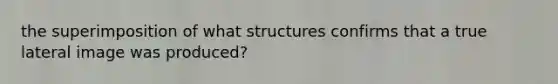 the superimposition of what structures confirms that a true lateral image was produced?