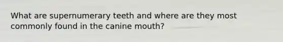 What are supernumerary teeth and where are they most commonly found in the canine mouth?