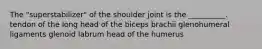 The "superstabilizer" of the shoulder joint is the __________. tendon of the long head of the biceps brachii glenohumeral ligaments glenoid labrum head of the humerus