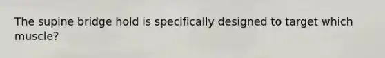 The supine bridge hold is specifically designed to target which muscle?