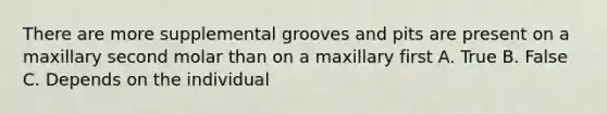 There are more supplemental grooves and pits are present on a maxillary second molar than on a maxillary first A. True B. False C. Depends on the individual