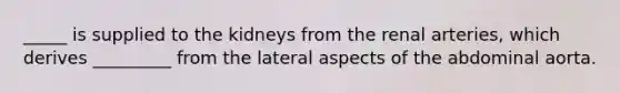 _____ is supplied to the kidneys from the renal arteries, which derives _________ from the lateral aspects of the abdominal aorta.