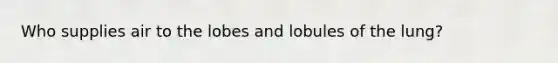 Who supplies air to the lobes and lobules of the lung?