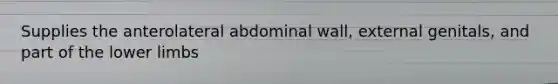 Supplies the anterolateral abdominal wall, external genitals, and part of the lower limbs