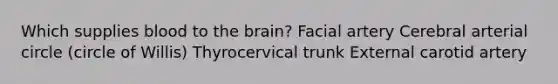 Which supplies blood to the brain? Facial artery Cerebral arterial circle (circle of Willis) Thyrocervical trunk External carotid artery