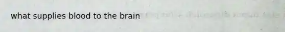 what supplies blood to the brain