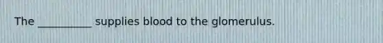 The __________ supplies blood to the glomerulus.