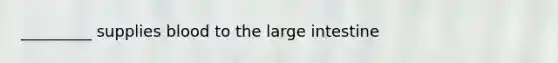 _________ supplies blood to the large intestine