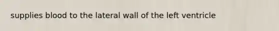 supplies blood to the lateral wall of the left ventricle