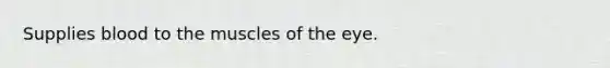 Supplies blood to the muscles of the eye.