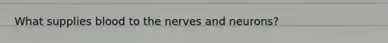 What supplies blood to the nerves and neurons?