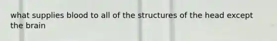 what supplies blood to all of the structures of the head except the brain