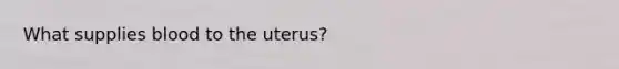 What supplies blood to the uterus?