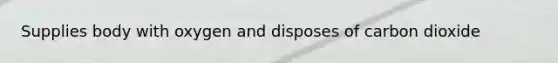 Supplies body with oxygen and disposes of carbon dioxide