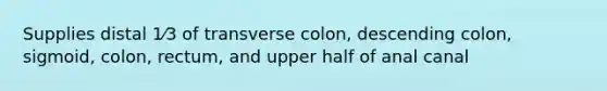 Supplies distal 1⁄3 of transverse colon, descending colon, sigmoid, colon, rectum, and upper half of anal canal