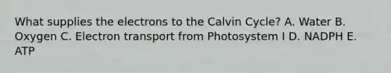 What supplies the electrons to the Calvin Cycle? A. Water B. Oxygen C. Electron transport from Photosystem I D. NADPH E. ATP