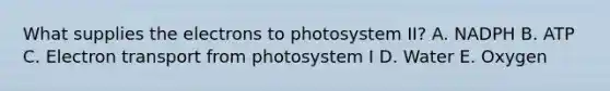 What supplies the electrons to photosystem II? A. NADPH B. ATP C. Electron transport from photosystem I D. Water E. Oxygen