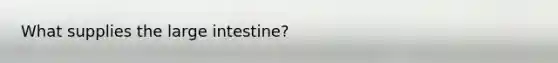 What supplies the large intestine?