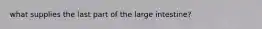 what supplies the last part of the large intestine?