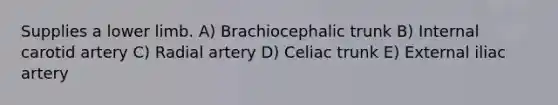 Supplies a lower limb. A) Brachiocephalic trunk B) Internal carotid artery C) Radial artery D) Celiac trunk E) External iliac artery