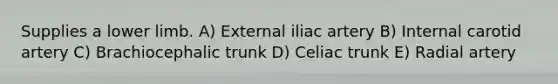 Supplies a lower limb. A) External iliac artery B) Internal carotid artery C) Brachiocephalic trunk D) Celiac trunk E) Radial artery