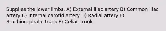 Supplies the lower limbs. A) External iliac artery B) Common iliac artery C) Internal carotid artery D) Radial artery E) Brachiocephalic trunk F) Celiac trunk