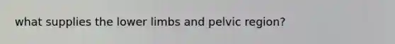 what supplies the <a href='https://www.questionai.com/knowledge/kF4ILRdZqC-lower-limb' class='anchor-knowledge'>lower limb</a>s and pelvic region?