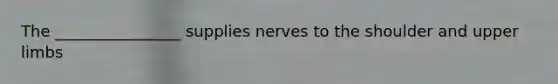 The ________________ supplies nerves to the shoulder and upper limbs