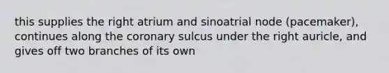 this supplies the right atrium and sinoatrial node (pacemaker), continues along the coronary sulcus under the right auricle, and gives off two branches of its own